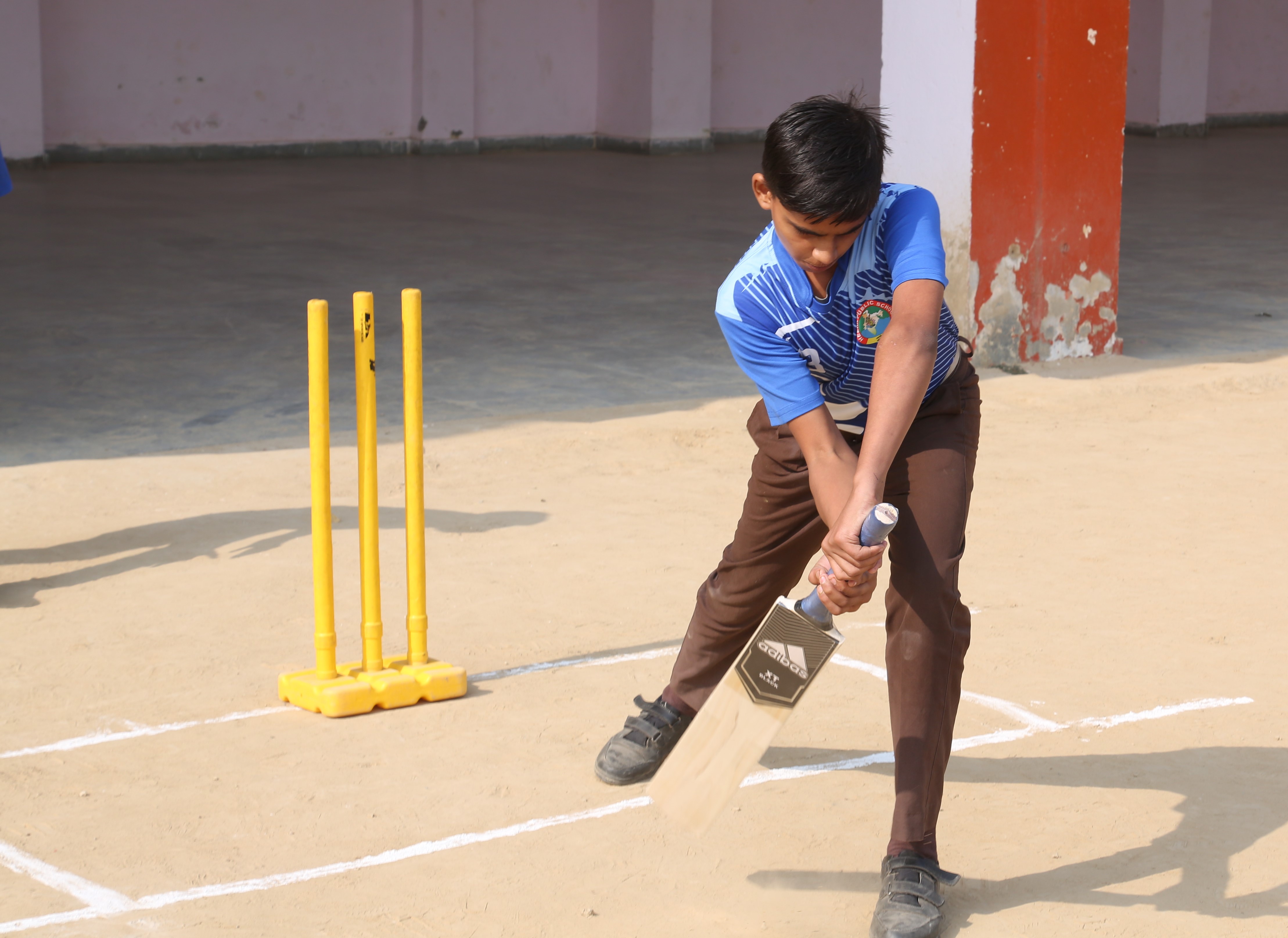 Cricket